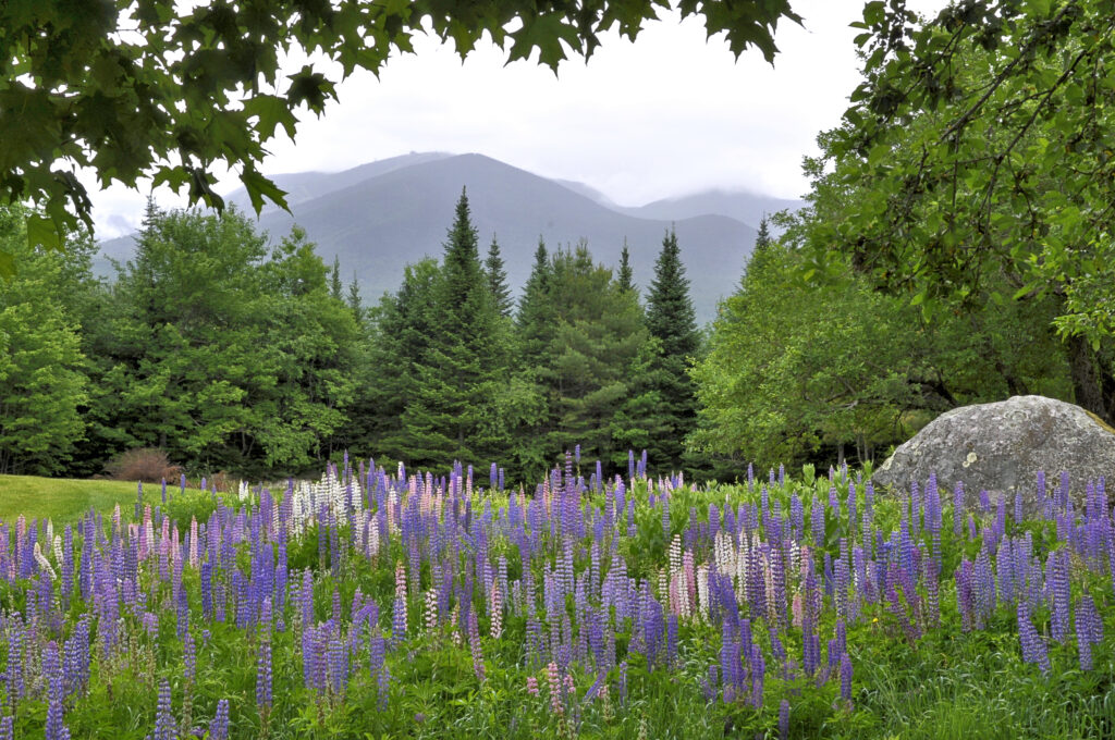 A scenic view of Sugar Hill, New Hampshire