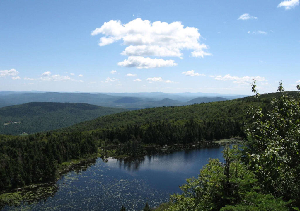 Scenic mountain lake with dense forest and blue sky, perfect for nature lovers.