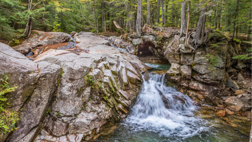 A peaceful forest scene with a small waterfall flowing over rocks surrounded by green trees.