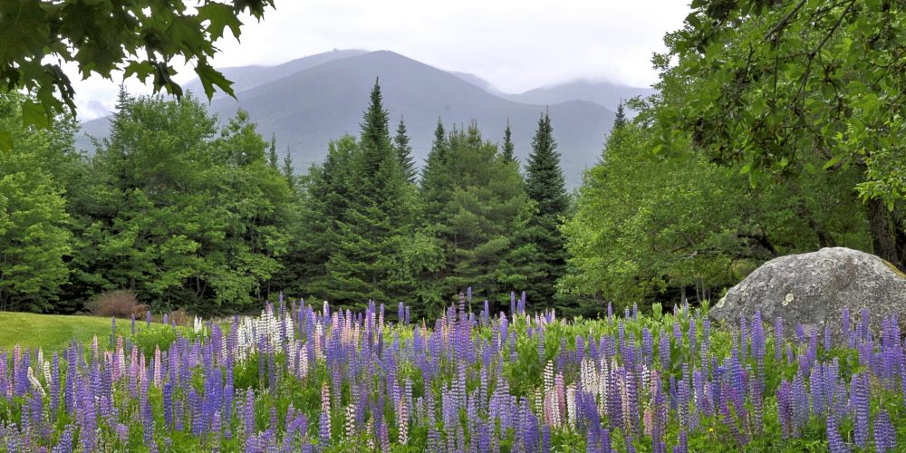 A scenic view of Sugar Hill, New Hampshire